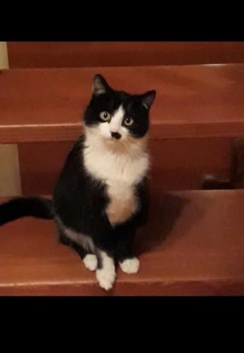 0a21b9fa-4cfa-4b1e-8315-34c802012aa3