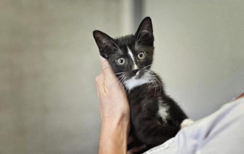 0a7577ba-299c-42ac-aa29-6e70ad6bca83