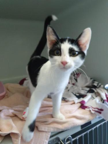 1dbfece6-6d2f-4752-990f-e6adb83dbca6