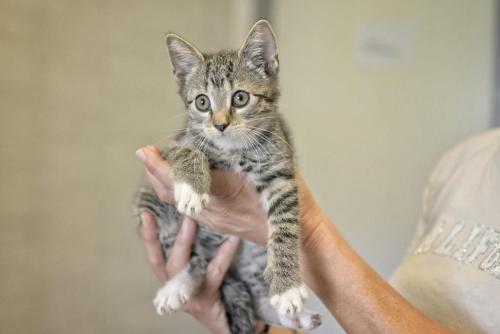 2dd96a89-6730-4729-857d-ea02ed588c2c