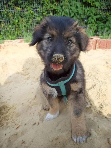 2eee69e6-9b37-40cb-b2c6-1407ed5abfc3