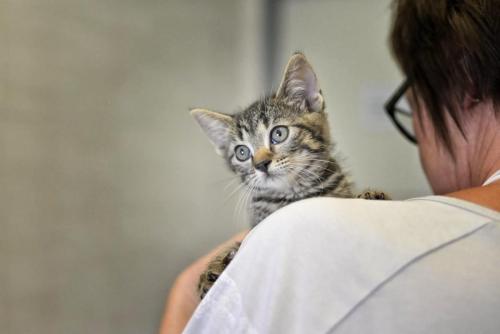 3971570a-7ee1-4645-99bb-466398e6e345