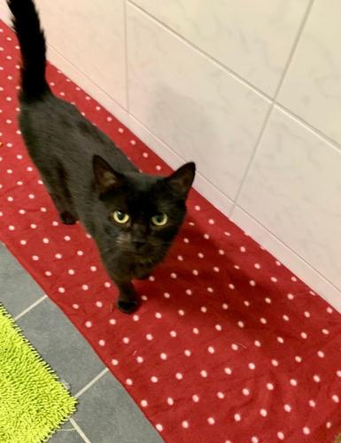 3f23a5e4-5238-441b-b5f9-95f04b909f65