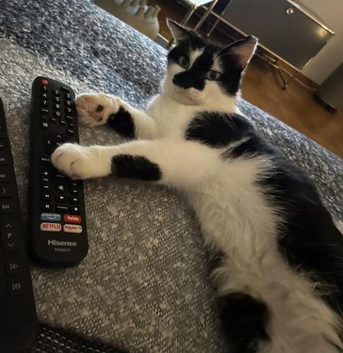 51328898-45cb-4690-ad8d-2ef9c8a004e9