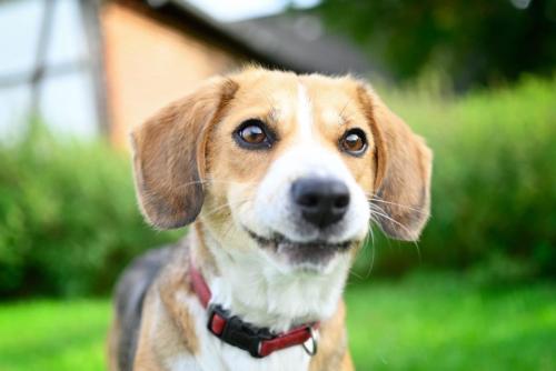 5b834b3f-a72e-4325-8f20-071cbb0ec815