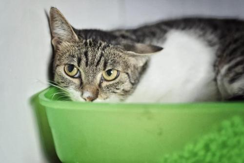 5eff6fd7-f192-48a1-bd98-92b6905a7d3f