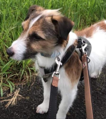 67e7a629-e9ae-436c-8dff-ebf720cb55a8