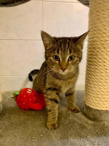 6b3dc74f-777f-43f3-b3ad-f03fda517e2d