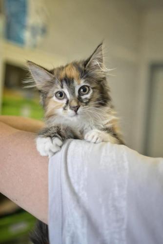 7c5596ea-99f7-44ce-b439-69f6075b1b45