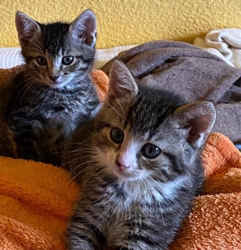 a0e31e40-208c-458e-aee0-1f8851bd84e3-e1627580251260