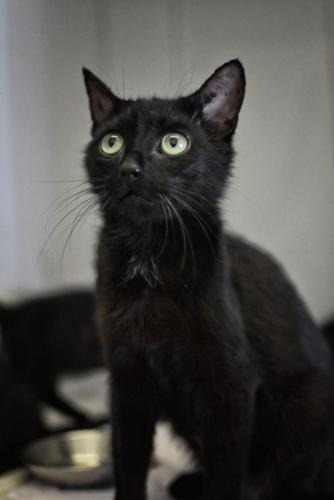 ade599d5-407f-4ff0-aa9a-3e9f8a6d829e