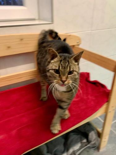 d4ab1bee-e8dc-493c-b343-daedfa27bd5a