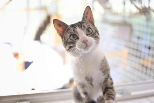 da023d7e-7923-4853-b3d0-99bcceb92521