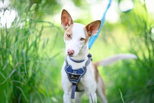 1653218781692 image 6483441