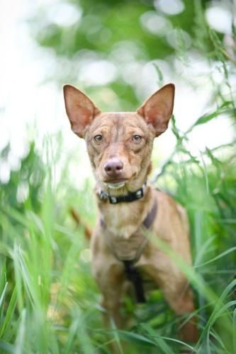 1653218806608 image 6483441