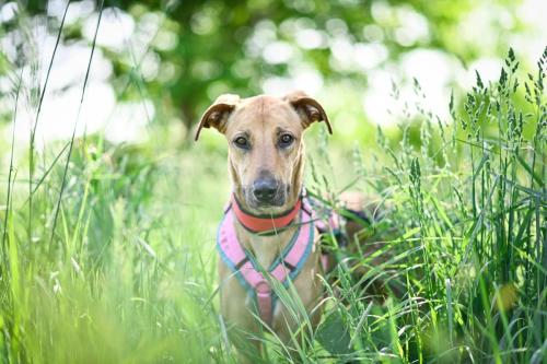 1653219276680 image 6483441