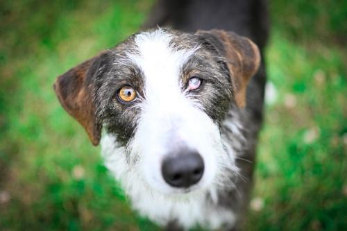 1657613257136 image 6483441