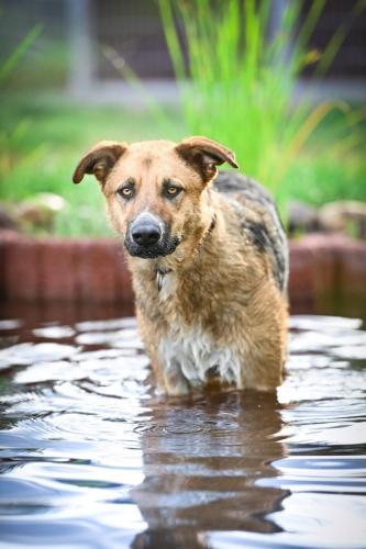 1657613266565 image 6483441