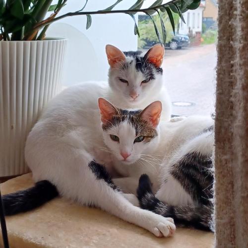 20230712 145253-scaled