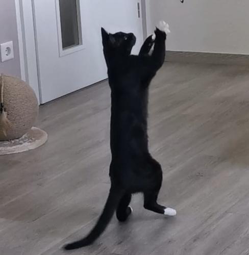 206226b3-2000-4128-80ed-1bf6d4b5da4a