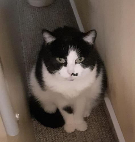 334e27e4-6d33-4c21-98f1-36614d49dd4a