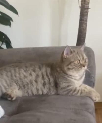 338dde19-b8db-495d-8536-6df8da390065