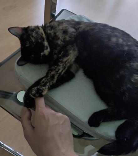 64506143-4e40-4a28-8484-fd693820c8eb