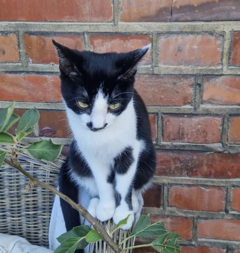 7209f929-95c0-4354-8c97-5740e677f2d5