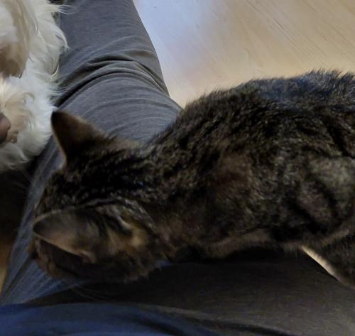 74623928-2d01-4d75-9cf2-c90eb717ab69