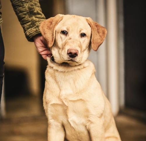 75fc153d-aeea-44d0-aa19-dace99708bb3