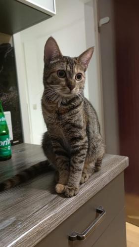 8021f565-10ee-4c84-9e67-a6c44f20a70b