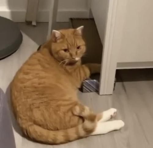 950d2d6c-8272-4202-a3a3-dca4297338ae