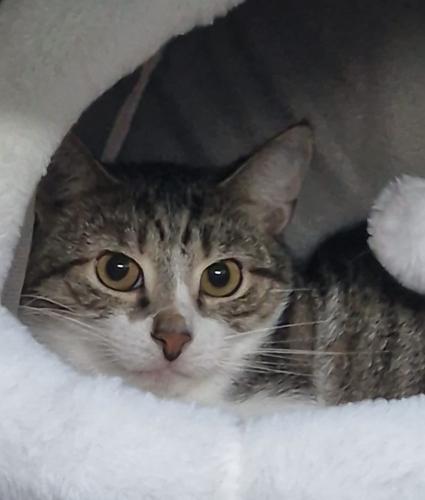 a47e3c25-657e-4efe-9eef-24afd18c1414