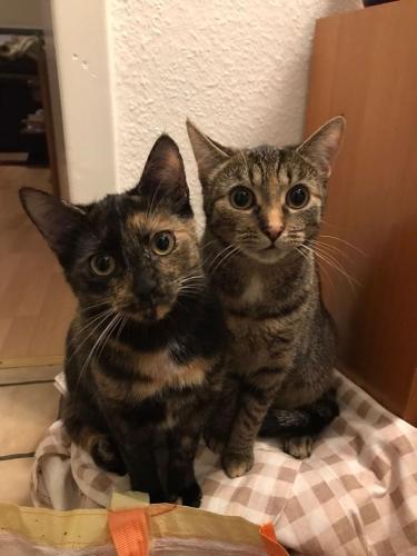 aa7ef52e-3759-4c14-8112-27a0904840ce