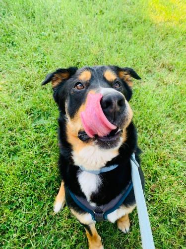 afe1f89b-9cbb-4308-bdbc-0739dced8e93