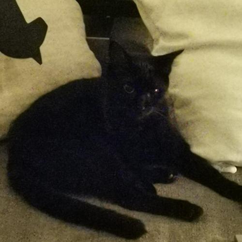 b812a8c1-ffe8-4579-8f9f-b9b711ff9940