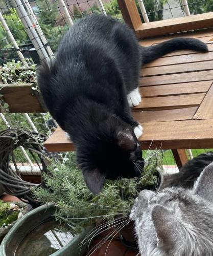 c1ba8ce5-83d4-4d0c-a046-4d7bc47e74c7