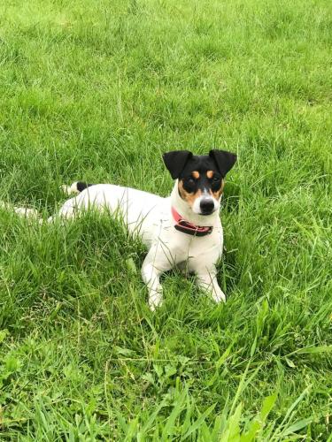 0c35136e-2948-4e77-8544-d04f5d6766d3