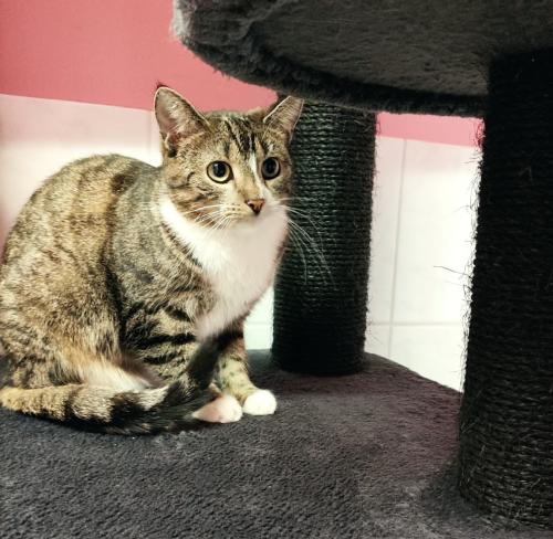 13cedd99-bb1c-4b5a-ace9-3c310cc6ad64