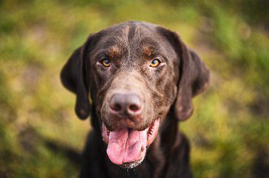 1707413475450258651056989724609