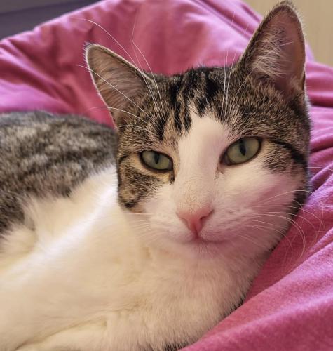 1bdcf64a-53d0-4a78-9a8e-b13b334d8701