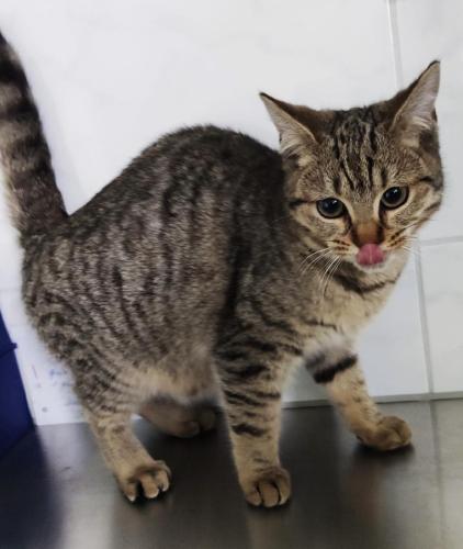 28ea3f30-27b4-49be-a113-2db1d7437ba6