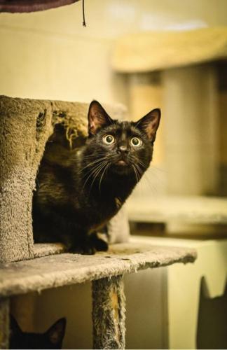 2d241303-bba3-4edc-a2f5-cef4cd1f2523