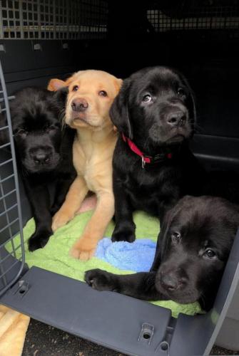 2dfe9a94-10f2-413c-a892-b8b4ea2e5434-1