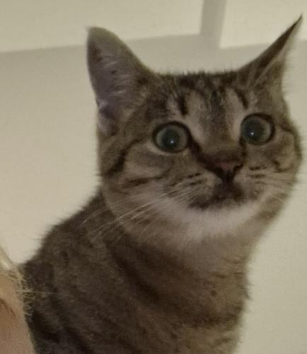 377d751f-849d-48a2-b6a9-88b163579462