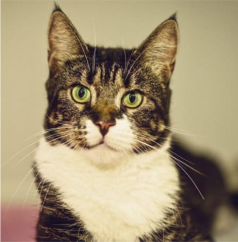 3acae5e3-2356-46b9-a78b-af6eda7f336b