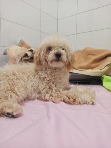 3c1e4715-cf5e-4706-8f7b-4d1c7fceb730