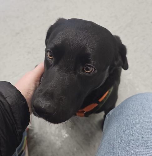 4e3f9394-0867-47d2-af85-e0ef4f5d4770-1