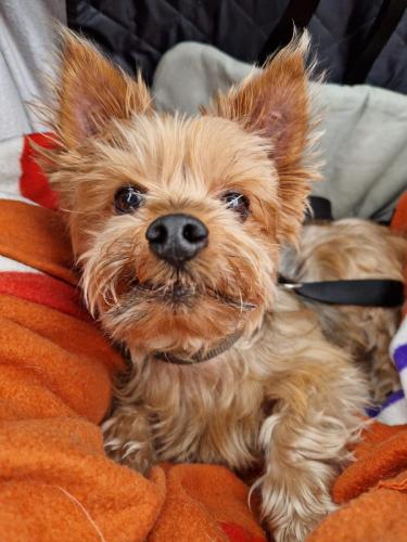 52878b38-2985-46f9-a9fb-d306de53b54a