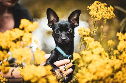 542c4433-b91e-4cf9-b1c0-171e81b6bdd1